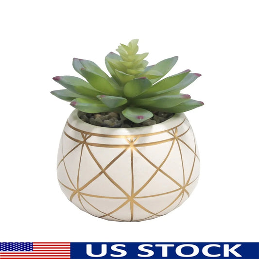 Geometric Print Ceramic Pot Tabletop Succulent Decor