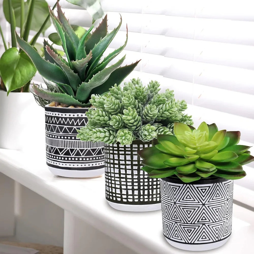 Set Of 3 Assorted Potted Succulents In Black White Pots