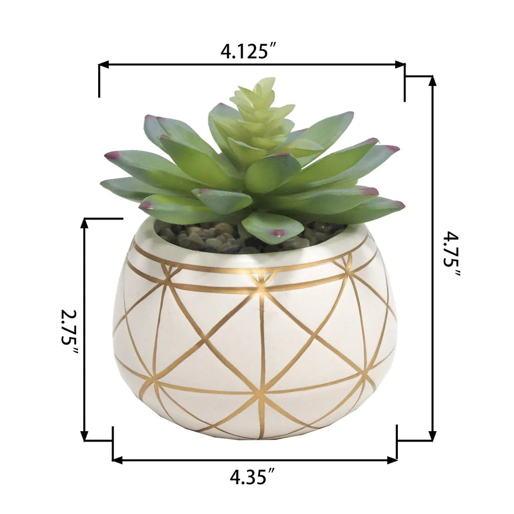 Geometric Print Ceramic Pot Tabletop Succulent Decor