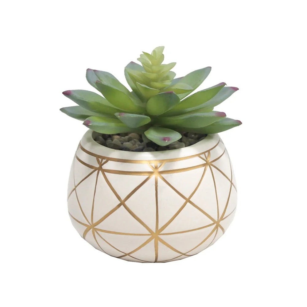 Geometric Print Ceramic Pot Tabletop Succulent Decor