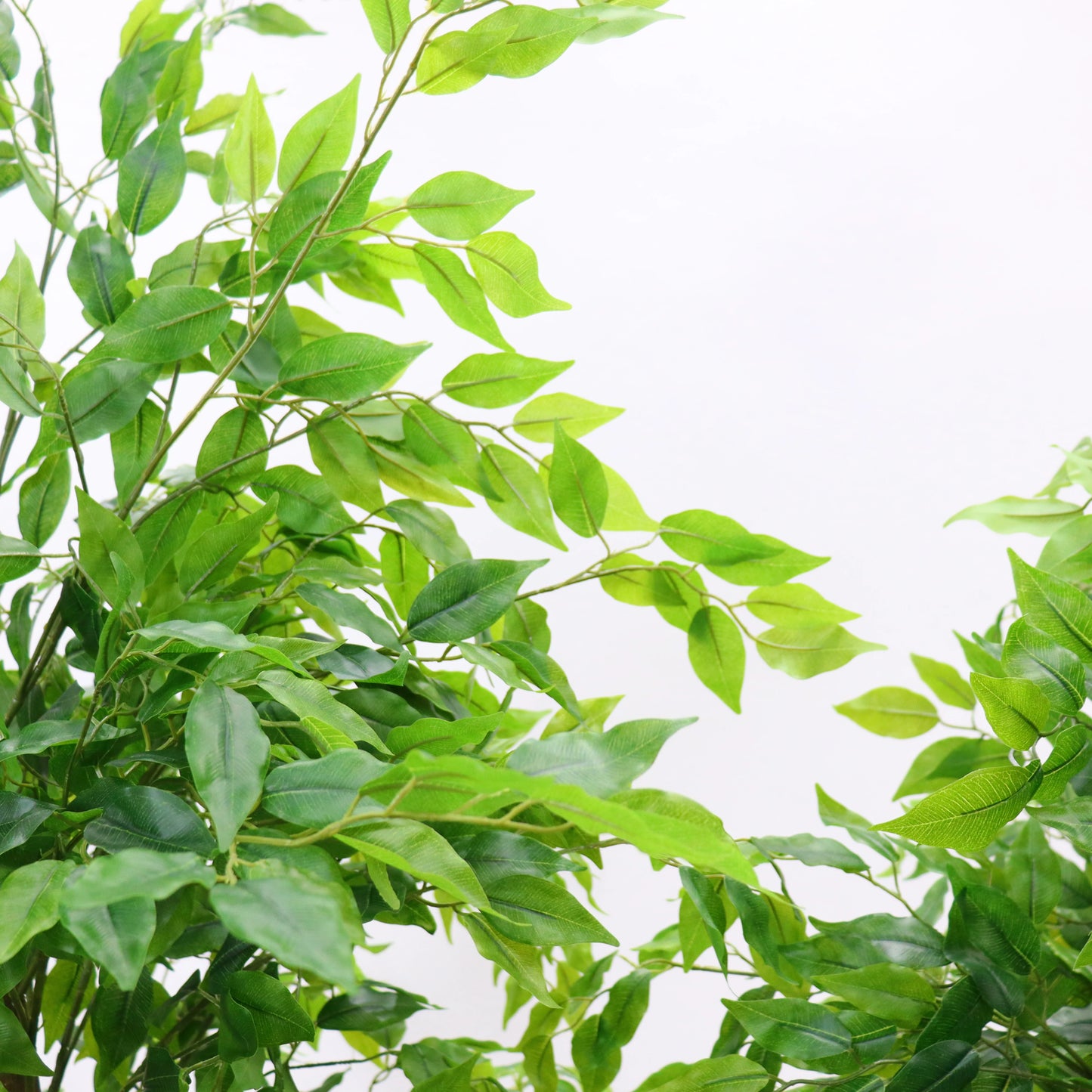 Tall Artificial Ficus Tree In Planter Realistic Potted Ficus