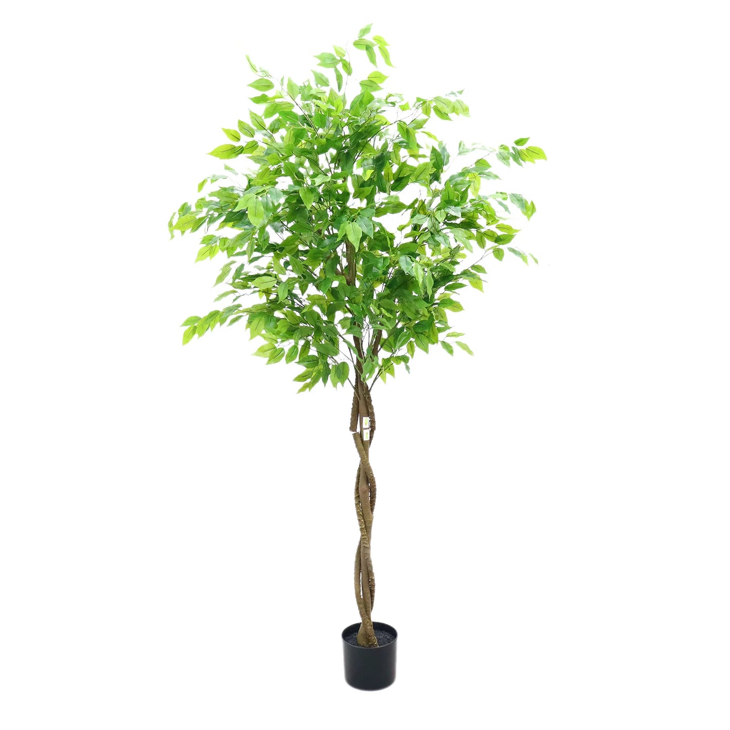 Tall Artificial Ficus Tree In Planter Realistic Potted Ficus