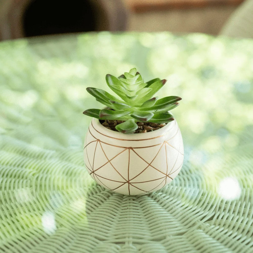 Geometric Print Ceramic Pot Tabletop Succulent Decor